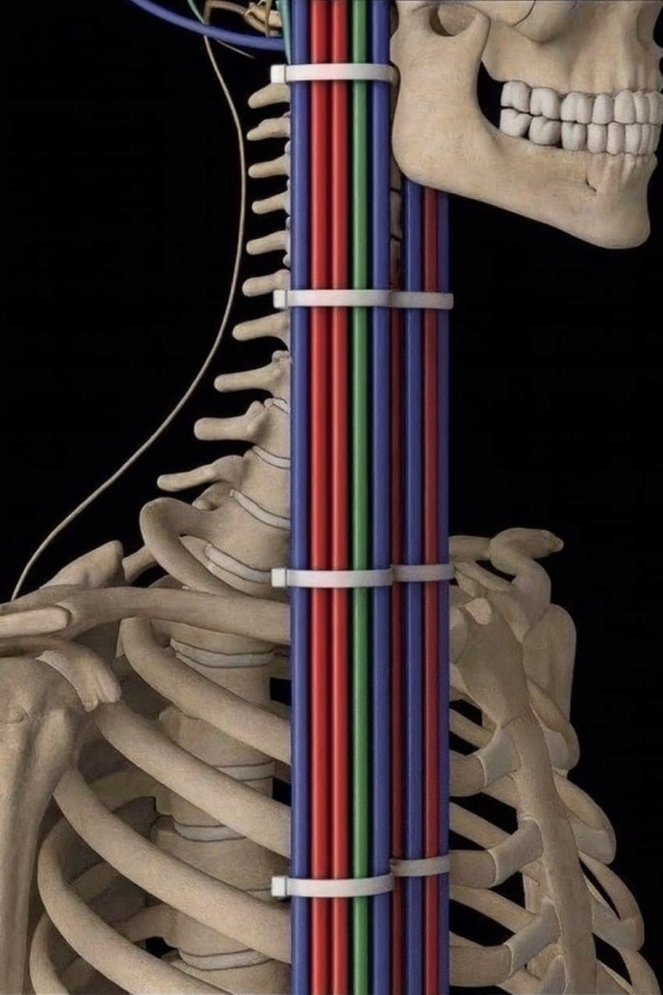 0b05ea25a309ede8b48e3f26585219a4_1758811586_4829.png
