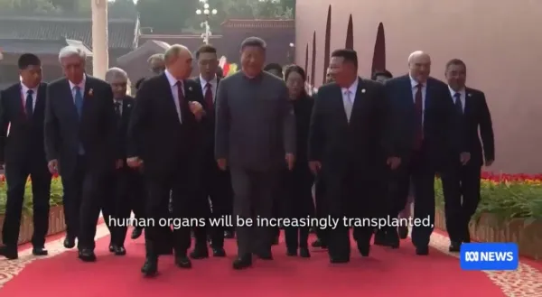 1586eacaa9a3073c38a3762f932ea576_1756900530_3062.webp