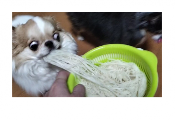 22c6c40cae8f0a7984ed4b91d6a14b10_1758183682_5652.png