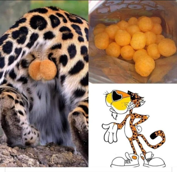 6523d3e736c94e93d5eae0ca34bf2efc_1758683712_0036.jpg
