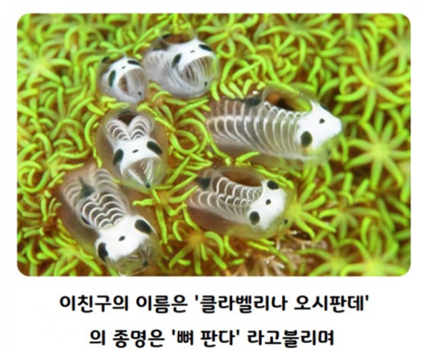 681be4b9ae12a518a287aa6c4874f50d_1758768420_6923.png
