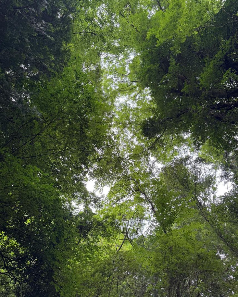 73200705e00e35eb0f9d4bf28429abe9_1757584276_1012.jpg