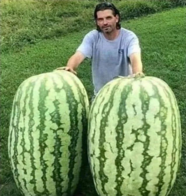 7dd66a3f676d618c376feb370f170c2e_1758214082_773.jpg