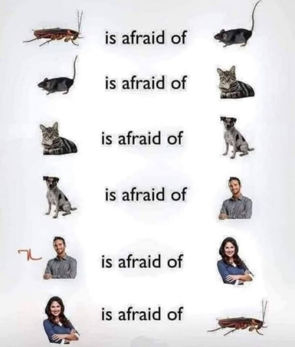 8a417d0d817c65c60eeb365e7b3552ae_1757328477_994.jpg