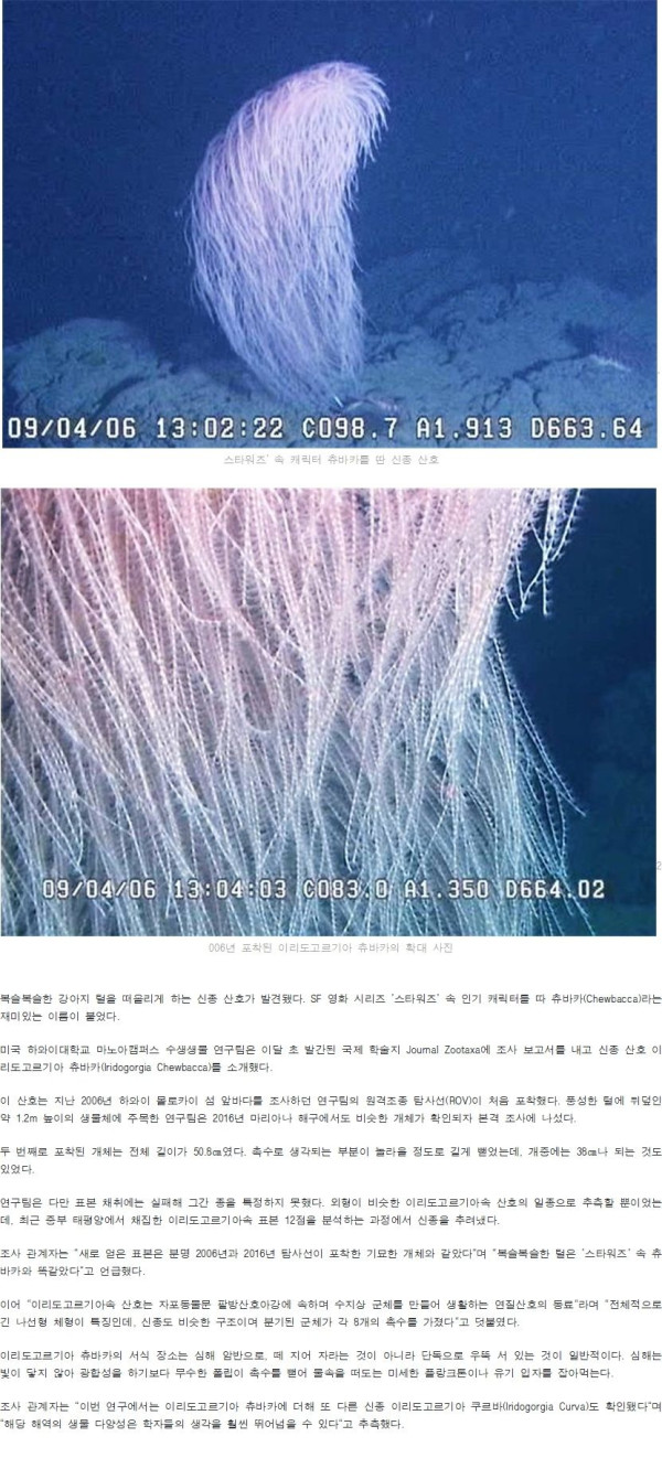 917edd08472bbb330f96cb7a1c2eadee_1758635890_2473.jpg