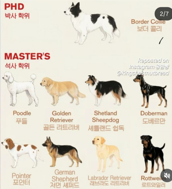 93de915d16e4e1dfa850dad7c4e941dd_1757819458_0459.jpg