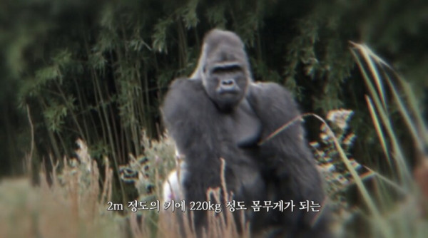 9e2931390e81092099b437246abe32e9_1758249015_401.jpg