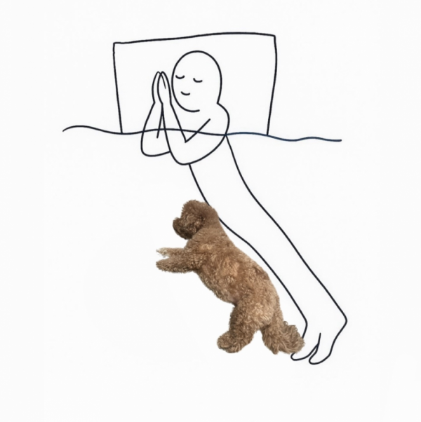 a653143b2f8935bf5d16533e75e0b7a6_1757830493_8768.png