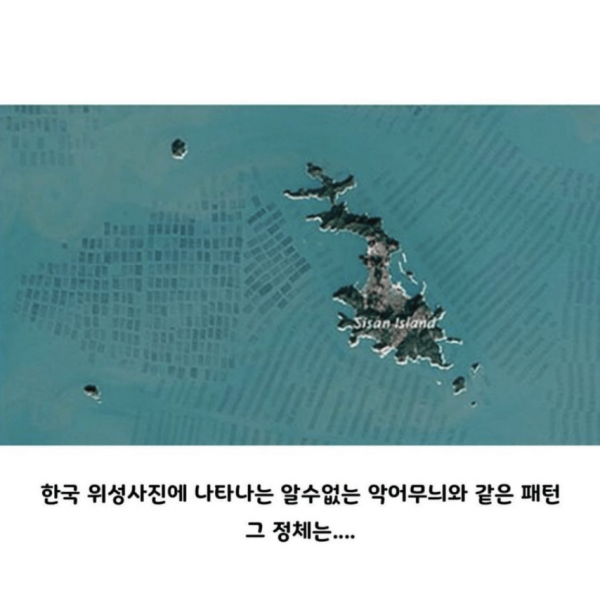 b987c45bd3cdd7d55799ce157d124547_1757758523_7854.png