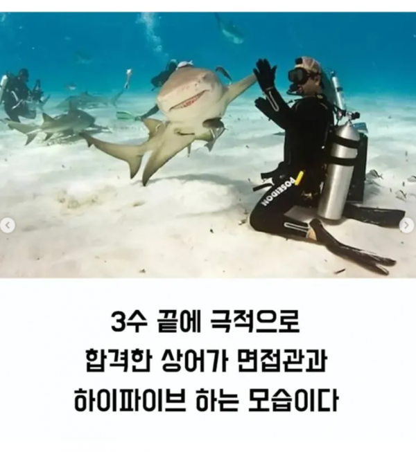 c07811dfdc5606f6b95b3ab04389b69f_1757914659_7015.png