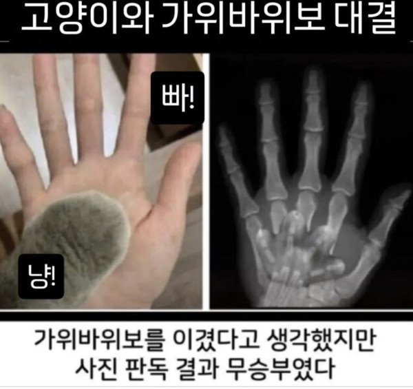 c12cf9b8a91f848da3d6192f9ce2b9ef_1756769824_4417.jpg