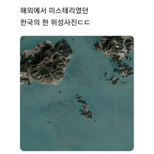 c460dff6f6f2e8910d50265d1be244f3_1757758523_4155.png