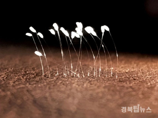 d20891fc261da3be60091c15dbdcc726_1758703232_7662.jpg