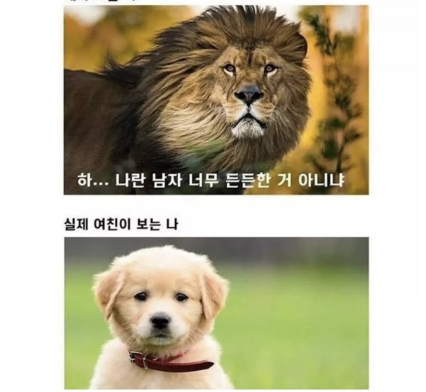 e6e47db118c3e293d8e9e22470ceaf8e_1758264481_0191.png
