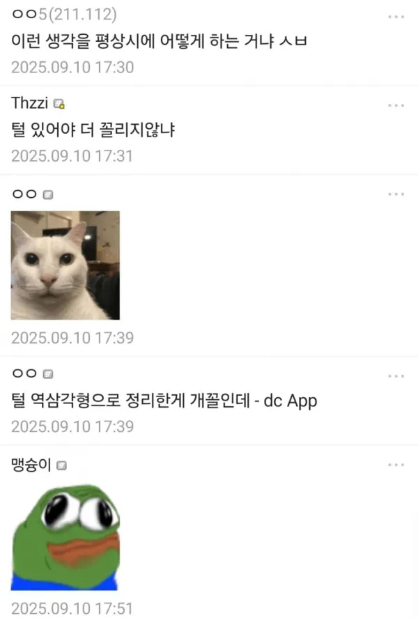 ed2c067c96f8484944eacb19507b164c_1757502791_9077.webp