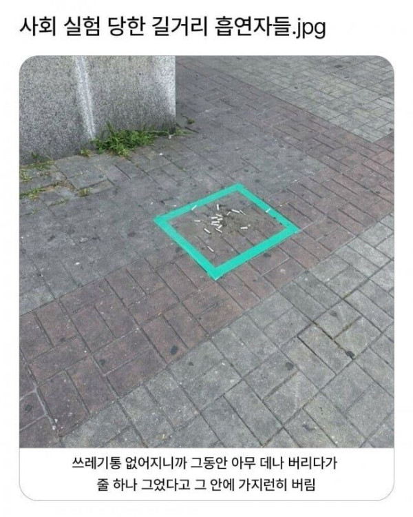 ed9509fb6223687a7fd07416026c4a5e_1758806439_141.jpg