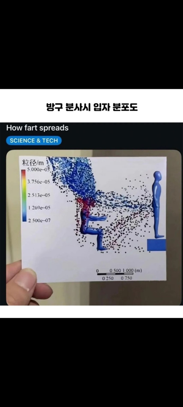 3052e1b3a628ffa6078b864e2e146ad9_1760083771_4879.jpg
