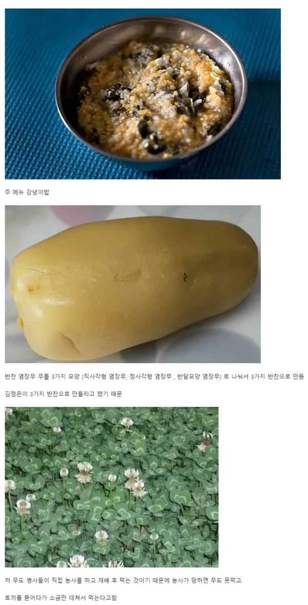 386d9a6e87e53b480506196f857b619b_1759784074_6488.webp