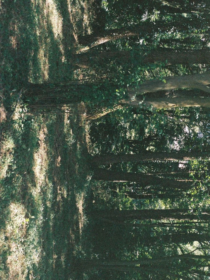 5afaf9345b056d22eb8b26f064c187e4_1759312519_3234.jpg