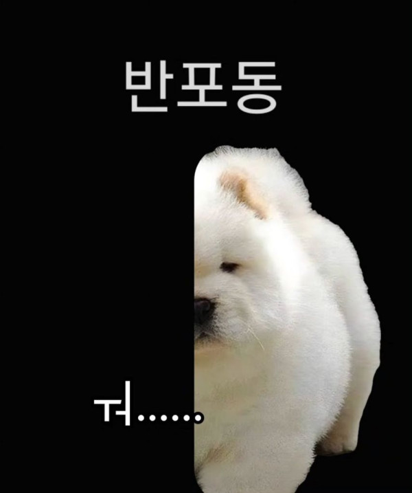79db9185bb4eb4ad23f208a9bc13c289_1759760090_2694.jpg