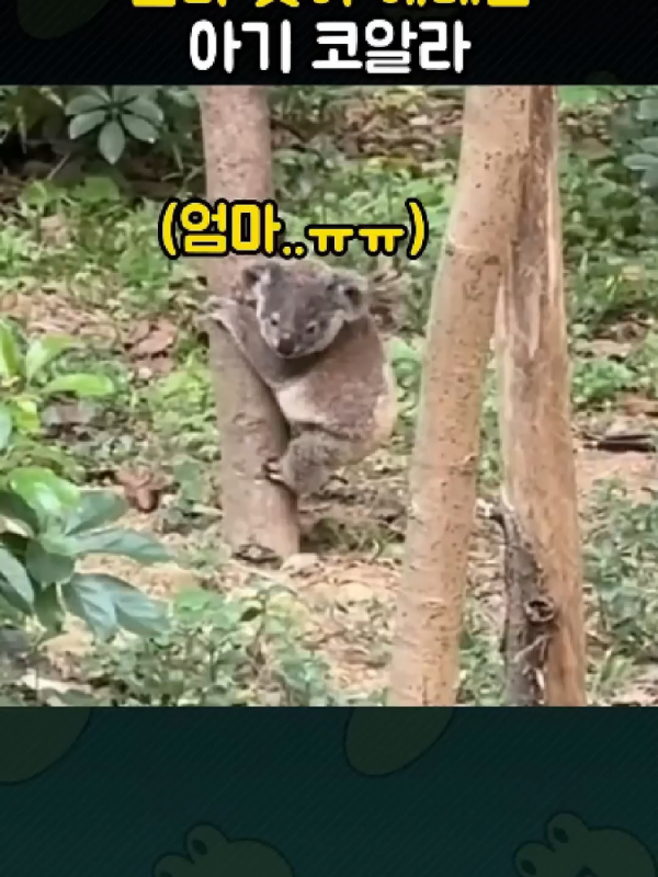 7d69bb60a58fac5b9d23c2fb8661e621_1759928124_1882.png