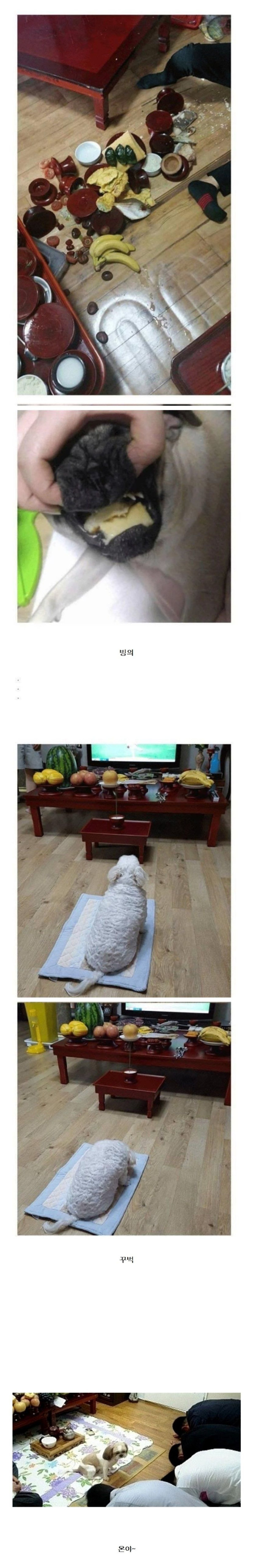 f44e7b37cafe0b536636e6ecf5420b6a_1759382115_2512.jpg