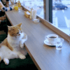 00fe5867c21aeaae8b01a1cef7a6186b_1773847820_71.gif
