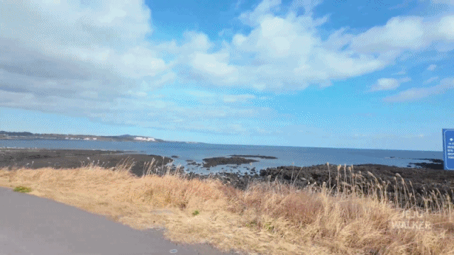 11f041e7fa1bccf9adbf3957575dd037_1773923304_071.gif