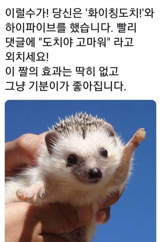 2298ab6b8e1fb76c111911334bb1f193_1773883544_386.jpg