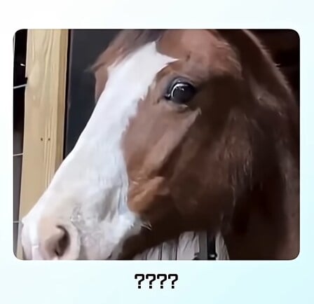 243c1a5c8c59b0999b95b63252e3679c_1773808267_4277.jpg