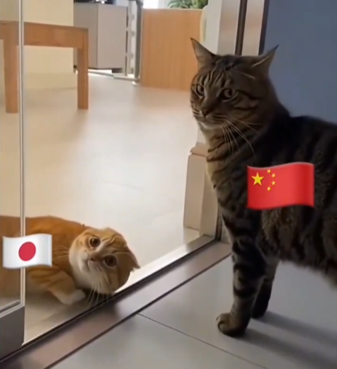 35c97eb71c786408db9a2a6d4ec64272_1773819254_1632.png