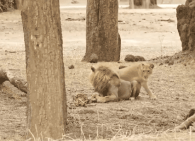 41a2a31ed092418be97b5c146752ae6f_1773900556_4689.gif