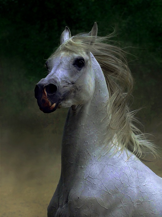 7578cc956bfcbe25883a79433f5bcc33_1773792592_0339.jpg