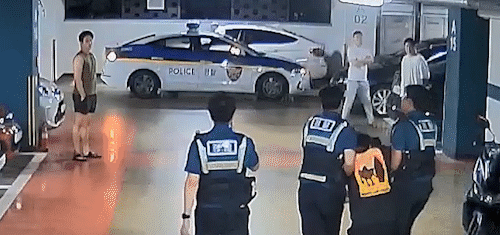 800dfbf468e01b24f901c35ad3493f22_1773916753_9656.gif