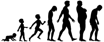 bac35663b134b8085951fb4709986e8e_1773921482_1858.png