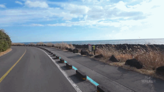 da118f21332ad713fff4c42e4b007cb4_1773923304_4916.gif