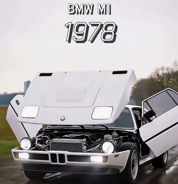 ee9e929050968fd4096da774abd3a0a7_1773909783_984.gif