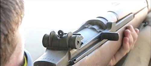 f93f1b0dbbaa6e5eb8183ef4561aa20f_1773857900_3427.gif