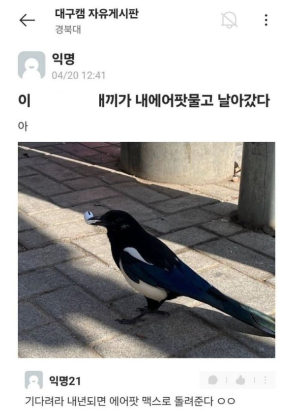 013d00a713e3954ca80b31dff1caa229_1773767540_2477.png