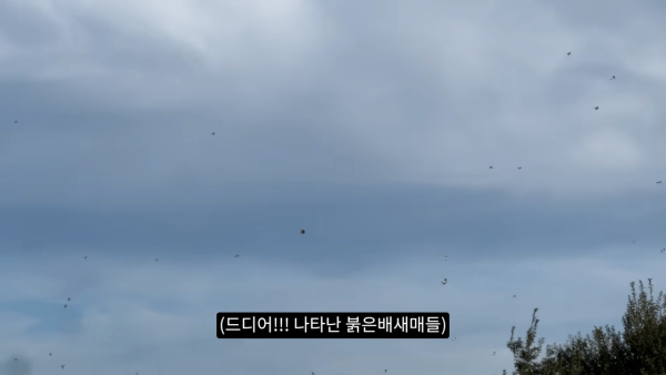 020269a072142126e2f063168ef4a773_1773864332_2923.png