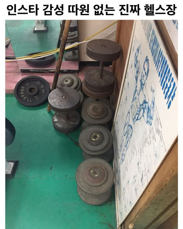 040e8e8cc5e0d85562e8e66c85675f0c_1773774471_6047.jpg