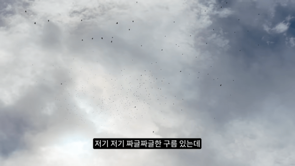 04b1e6c7e741dfc30049de37697124f4_1773864336_3988.png