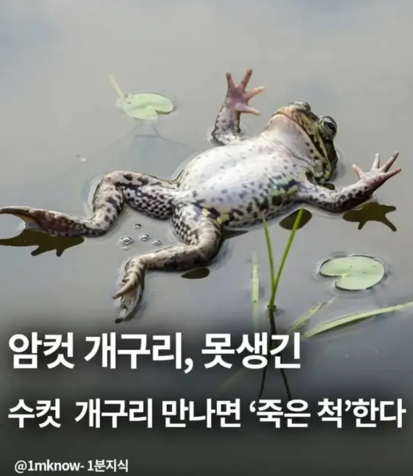 0f34d253b9bf76374a89b1255fab39fd_1773896565_7857.png