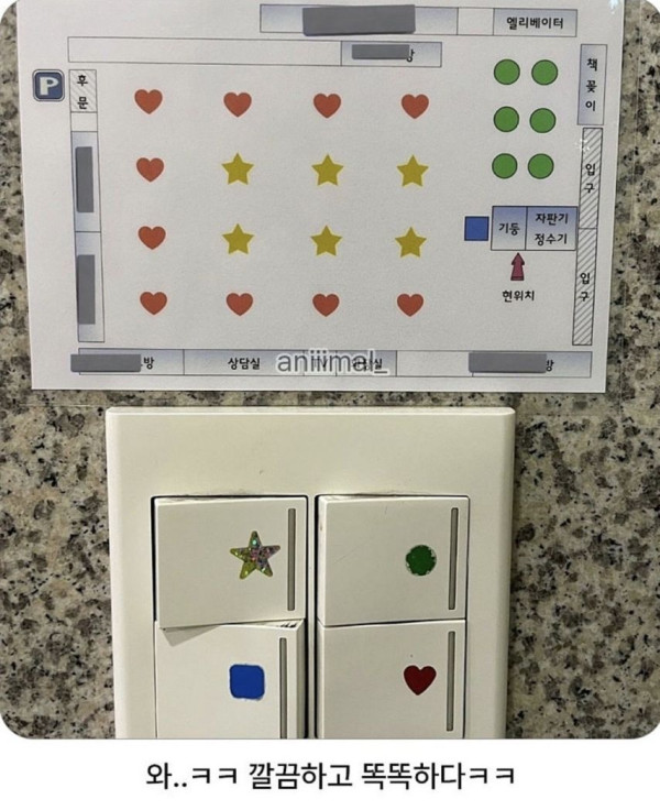 149112eda1346d4afce724b594e69df6_1773801850_5775.jpg