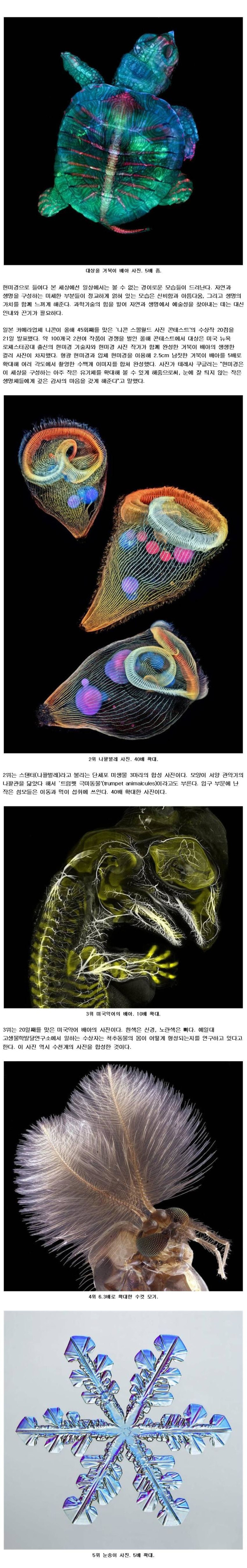 1c5acc88a774d2c48f0b3e5e9d3b8237_1773903974_2176.jpg