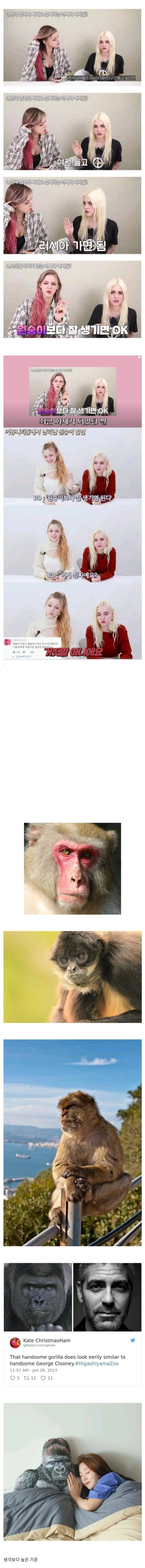 1cea70ef166412bf3f4608bbe8b96af9_1773869623_9164.jpg