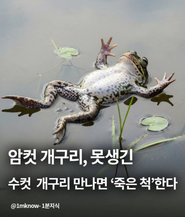1f5f0f9ed69b3094b1f85fd66e090d1a_1773795160_4899.jpg