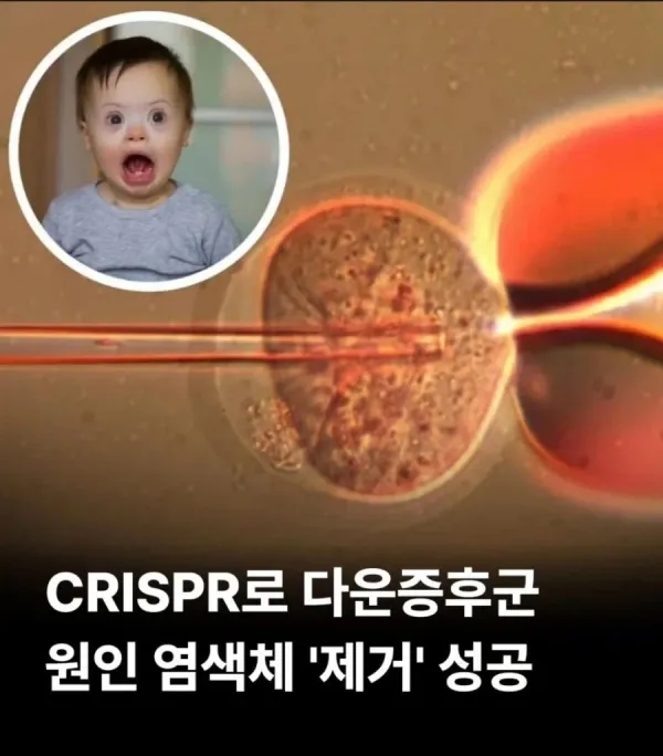 24d7e52341292f80f509a92d607a5e78_1773907224_5297.webp