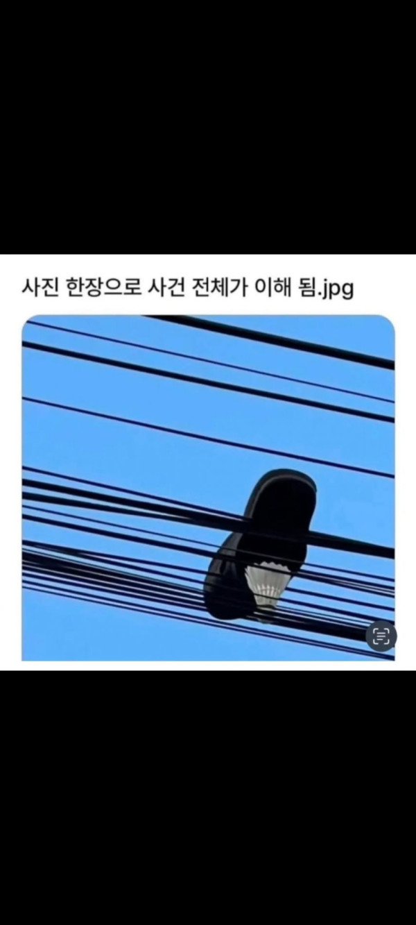 3a376311be083bbe27a6fc36133e4955_1773845706_992.jpg