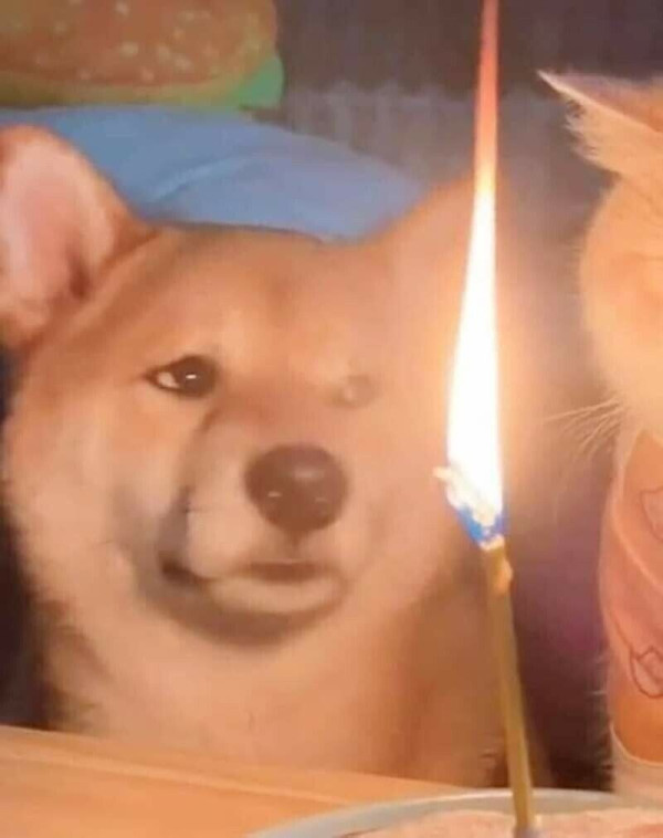 407477396ae1c1df8be1ddc0cd2c66c6_1773832962_5326.jpg